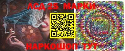 spice Ярославль