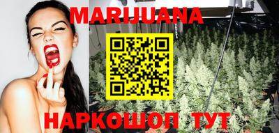 индика Шелехов