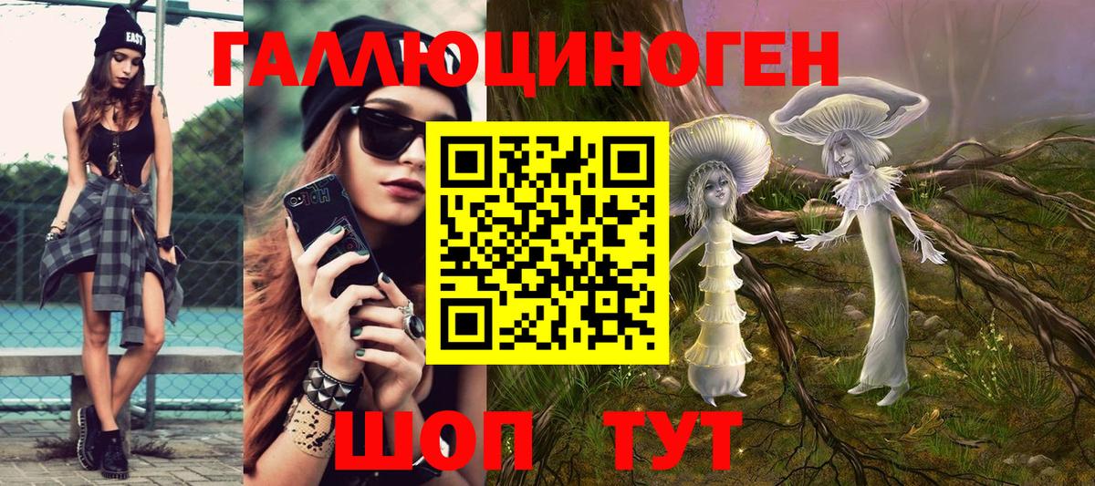 Галлюциногенные грибы Psilocybe Белебей