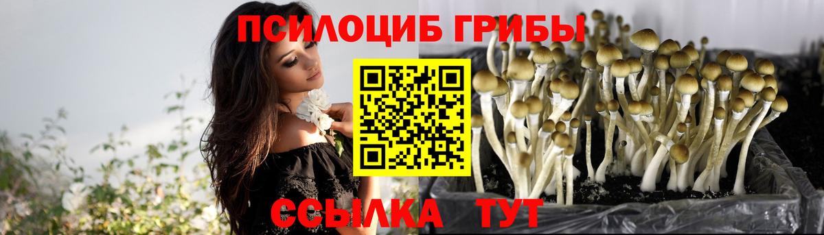 Псилоцибиновые грибы Magic Shrooms  Галлюциногенные грибы мицелий  сколько стоит  Белебей  Вход с VPN 